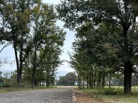 Terreno en Venta en Zelaya, Partido de Pilar