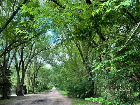 Terreno en Venta en Salvador Maria, Partido de Lobos