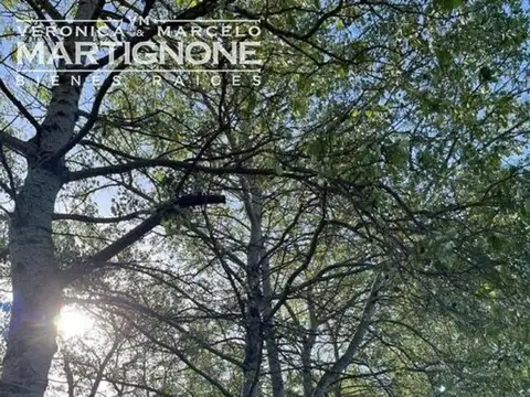 Terreno en Venta en La Ranita, Manzanares