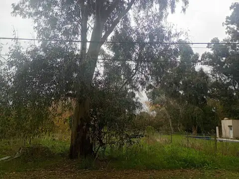 Terreno en Venta en Lisandro Olmos Etcheverry, Partido de La Plata