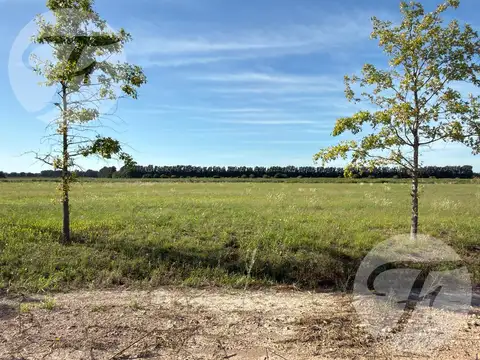 Terreno en Venta en San Pedro, Partido de San Pedro