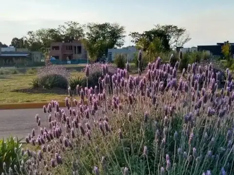 Terreno en Venta en Pilar del Este - Santa Lucia, Countries y Barrios Cerrados en Pilar