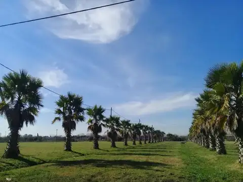 Terreno en Venta en Lobos, Partido de Lobos