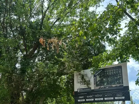 Terreno en Venta en José Clemente Paz, Partido de José C. Paz