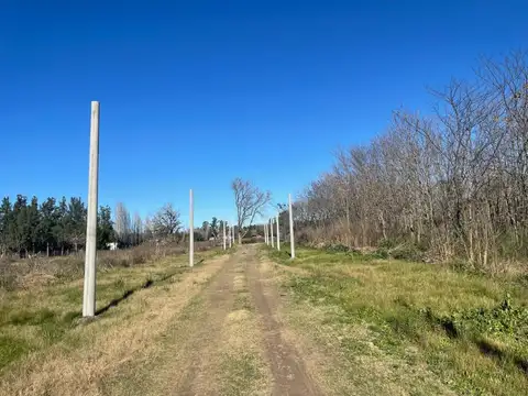 Terreno en Venta en Los Pinos, Exaltacion de la Cruz