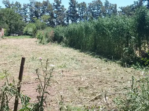 Terreno en Venta en Centro Agrícola el Pato, Partido de Berazategui