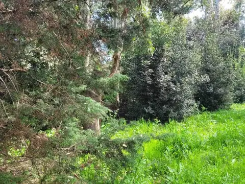 Terreno en Venta en Coronel Brandsen, Partido de Brandsen
