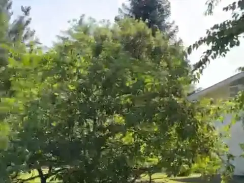Terreno en Venta en Centro Agricola el Pato, Partido de Berazategui