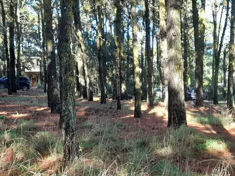 Terreno en Venta en Mar de las Pampas, Partido de Villa Gesell
