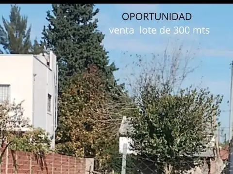Terreno en Venta en De Vicenzo Grande, Del Viso
