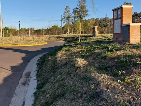 Terreno en Venta en Pilar Del Este - Santa Elisa, Countries y Barrios Cerrados en Pilar