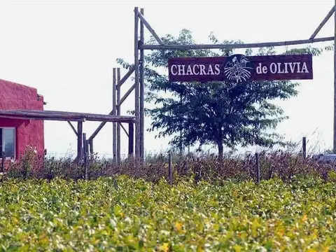 Terreno en Venta en Chacras De Olivia, Lima
