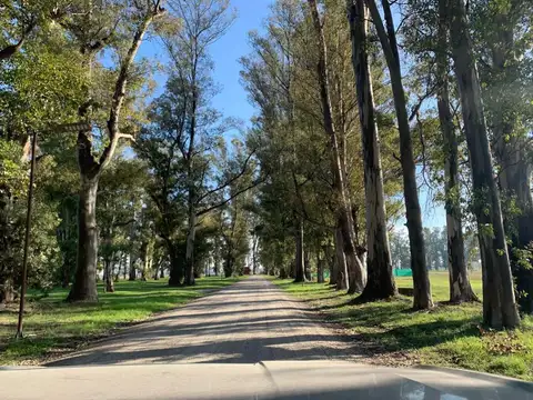 Terreno en Venta en Los Tres Pinos, Countries y Barrios Cerrados en General Rodriguez