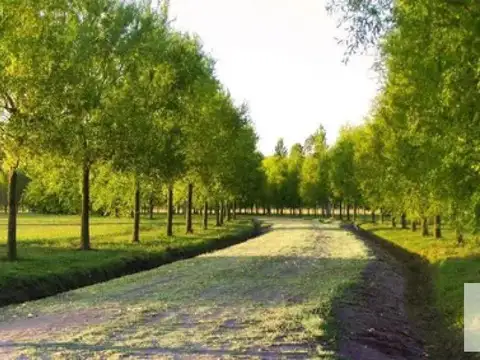 Terreno en Venta en Posadas De Los Lagos, Countries y Barrios Cerrados en Coronel Brandsen
