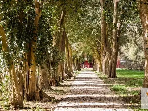 Terreno en Venta en El Mirador Club de Campo, Countries y Barrios Cerrados en Brandsen
