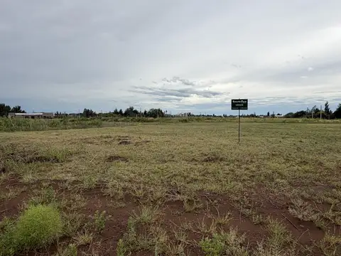 Terreno en Venta en Trenque Lauquen, Partido de Trenque Lauquen