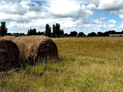 Terreno en Venta en Lobos, Partido de Lobos