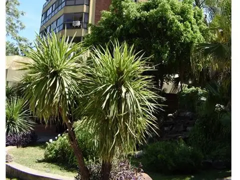 Departamento en Alquiler en Pilar Centro, Pilar