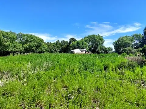 Terreno en Venta en Balneario Playa Dorada, Partido de Mar Chiquita