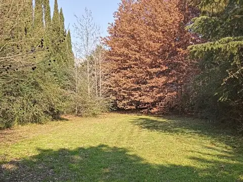 Terreno en Venta en Centro Agricola el Pato, Partido de Berazategui