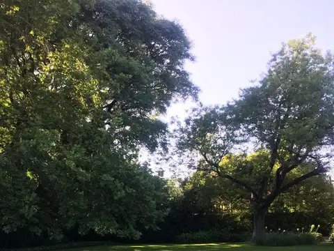 Terreno en Venta en San Isidro, Partido de San Isidro