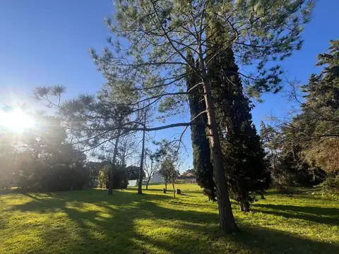 Terreno en Venta en Joaquin Gorina, Partido de La Plata