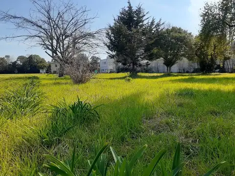 Terreno en Venta en Villa Elisa, Partido de La Plata