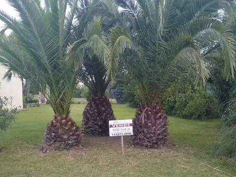 Terreno en Venta en Chascomus, Partido de Chascomús