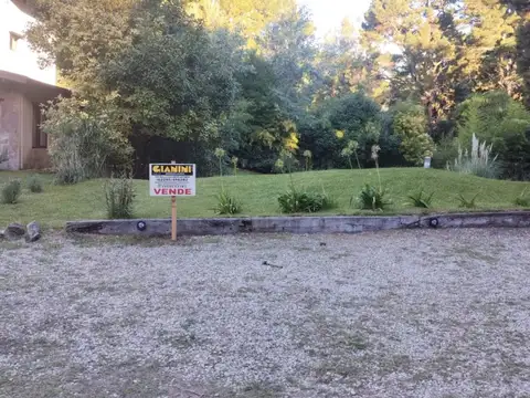 Terreno en Venta en Alfalad, Partido de Daireaux