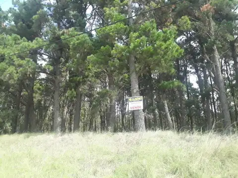 Terreno en Venta en Alfalad, Partido de Daireaux
