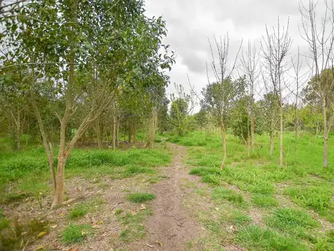 Terreno en Venta en Jose Hernandez, La Plata