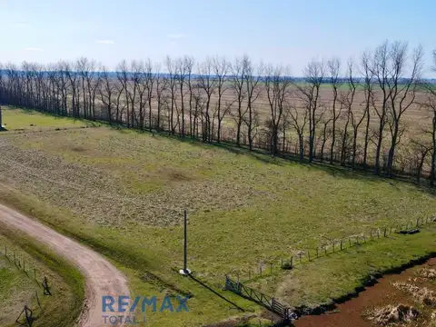 Terreno en Venta en Carmen de Areco, Partido de Carmen de Areco