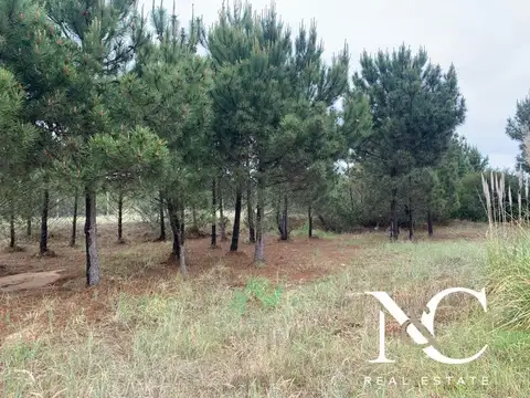 Terreno en Venta en Barrio Golf 2, Costa Esmeralda