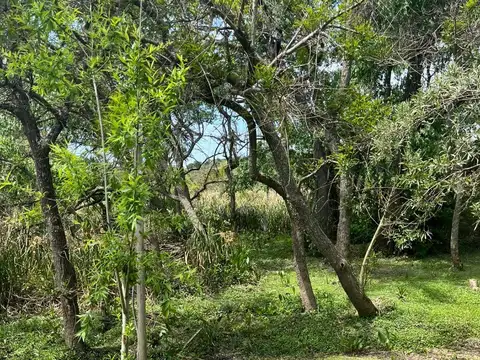 Terreno en Venta en Rio Lujan, Delta del Tigre