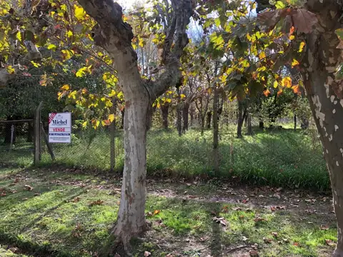 Terreno en Venta en Dique Lujan, Partido de Tigre