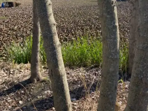 Terreno en Venta en Villa La Ñata, Tigre Centro