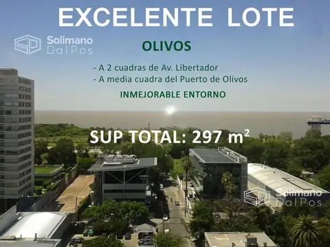 Terreno en Venta en Olivos Vias/Rio, Olivos