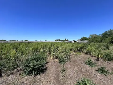 Terreno en Venta en City Bell, Partido de La Plata