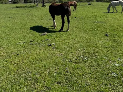 Terreno en Venta en Del Viso, Partido de Pilar