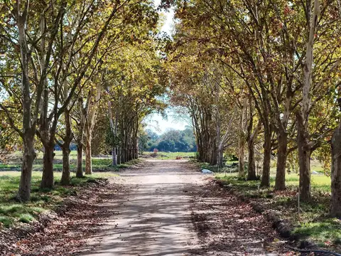 Terreno en Venta en Countries y Barrios Cerrados en Pilar, Partido de Pilar