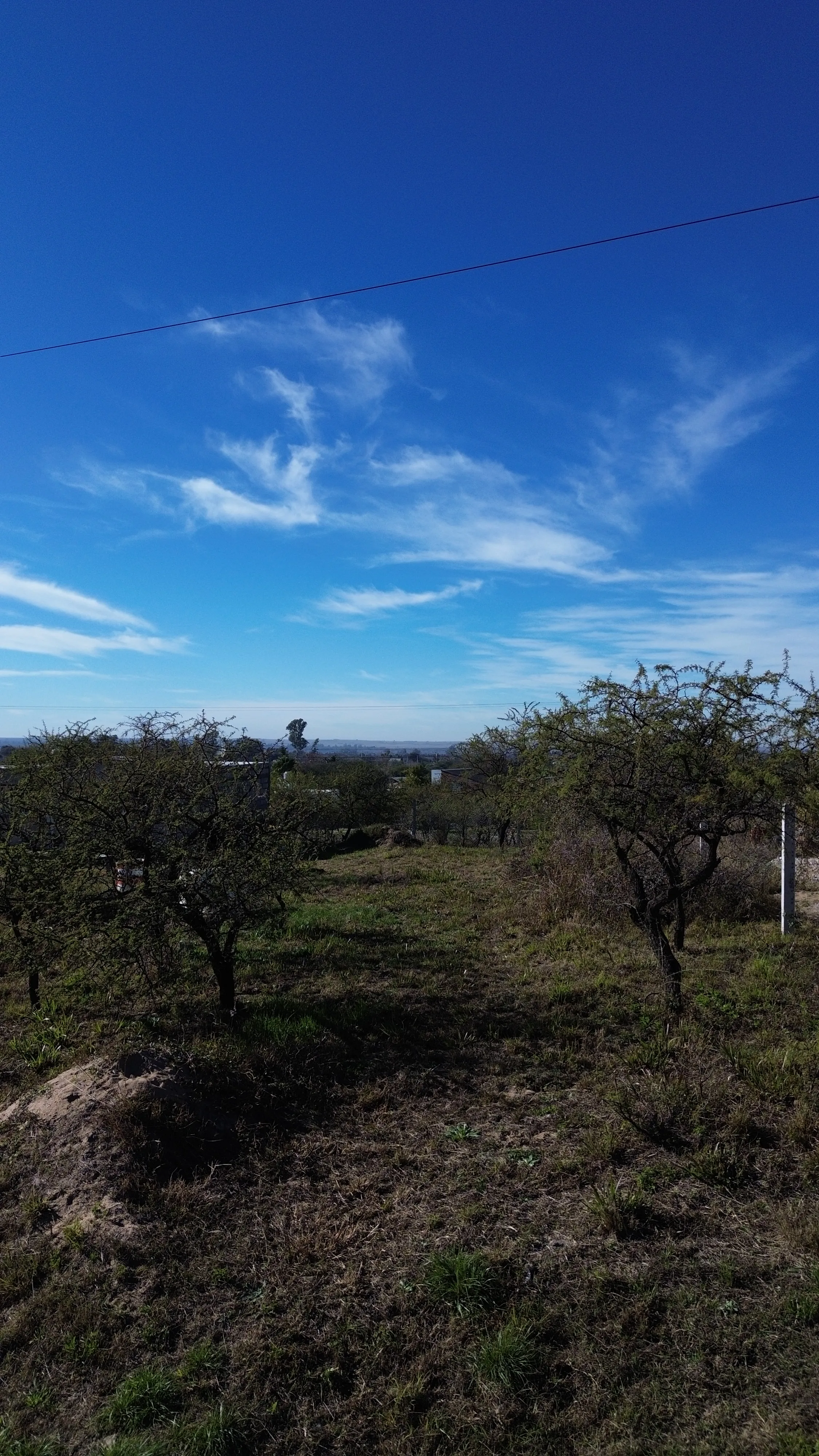 LOTE en VALLE DE ANISACATE