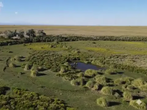 Campo en Venta en Las Juntas, Malargüe
