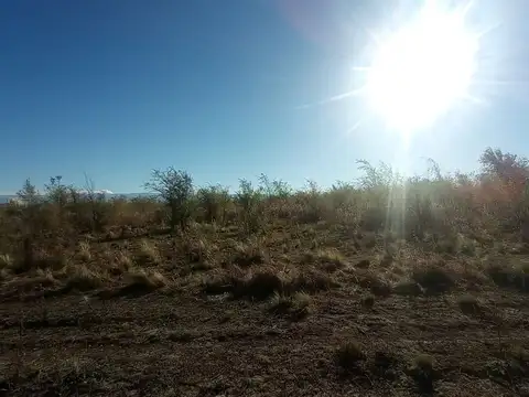 Campo en Venta en Los Reartes, Calamuchita