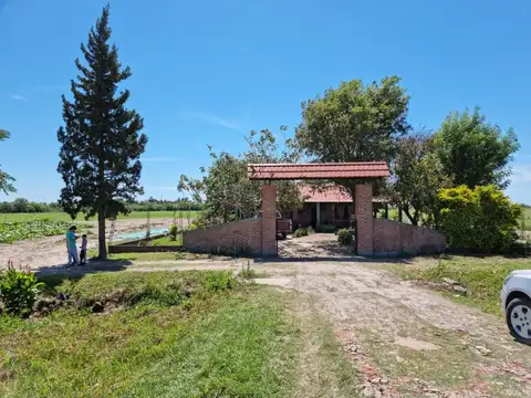 Campo en Venta en San Antonio de Obligado, General Obligado