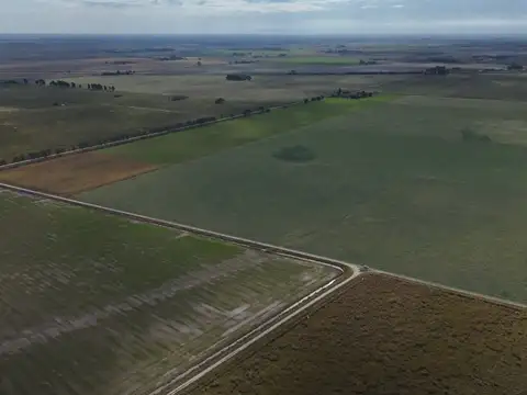 Campo en Venta en Villa Ocampo, General Obligado