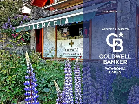 Fondo de comercio en Venta en Villa la Angostura, Los Lagos
