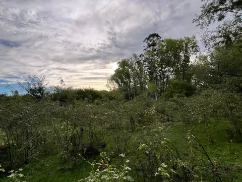 Terreno en Venta en Gualeguaychu, Gualeguaychú