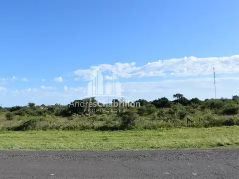 Terreno en Venta en San Luis San Jose Feliciano, Feliciano