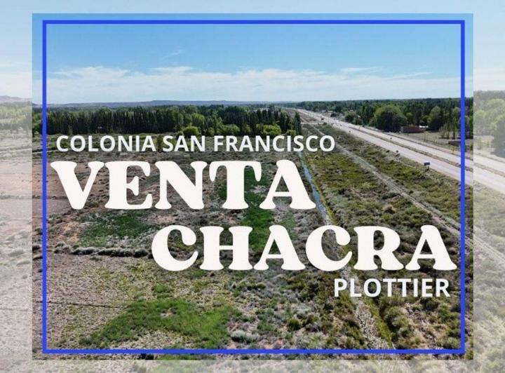 Campo · 6ha