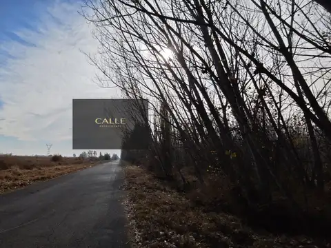 Terreno en Venta en Rodeo de la Cruz, Guaymallén